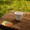 قالب گچی فنجان ( اشکان پارت )