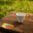 قالب گچی فنجان ( اشکان پارت )
