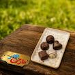 قالب گچی ظرف ساسر سایز بزرگ ( سامان مولدینگ )