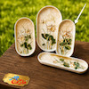 قالب گچی سرو بیضی سایز دو ( سامان مولدینگ )