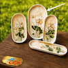 قالب گچی  سرو بیضی سایز چهار ( سامان مولدینگ )