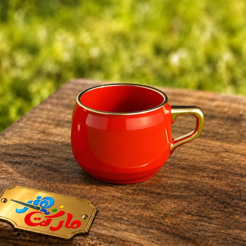 قالب گچی فنجان تانیا ( اسپیرال مولد )