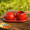 قالب گچی فنجان تانیا ( اسپیرال مولد )