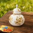 قالب گچی جینجر کد 202 ( ماتریس )