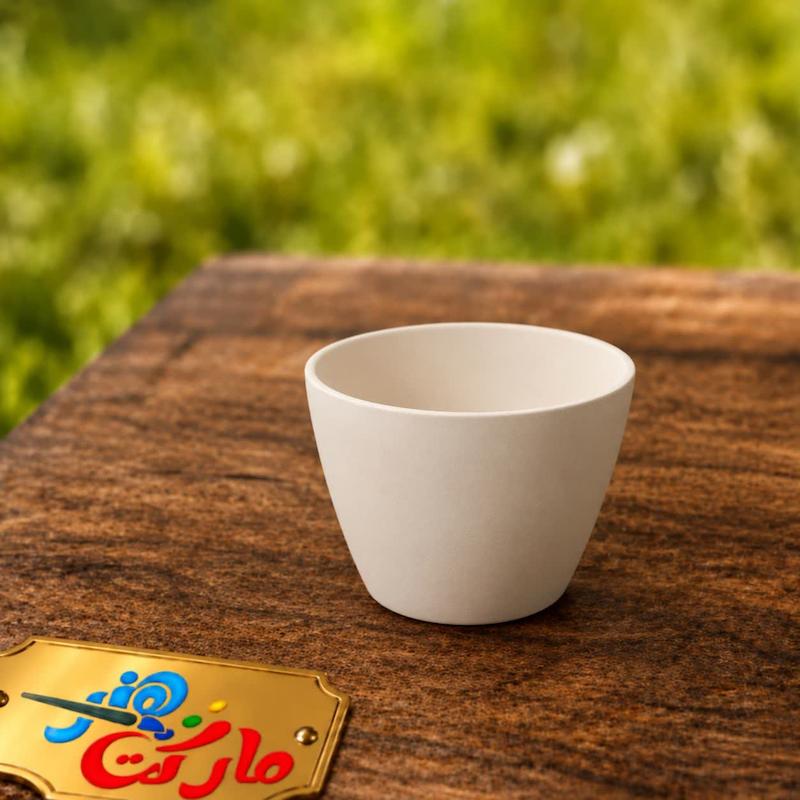 قالب گچی فنجان لته ( احمدی مولد )