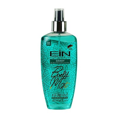 بادی اسپلش مردانه دندی ای آی ان | EIN DANDY MEN BODY MIST 