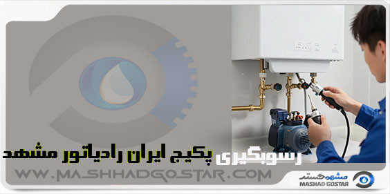 نمایندگی رسوبگیری و سرویس تعمیرات پکیج ایران رادیاتور در مشهد09157058912