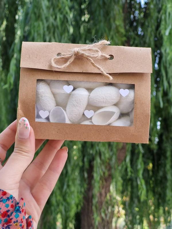 پیله ابریشم