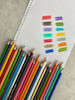 مداد رنگی ۲۴ رنگ استوانه ای فکتیس