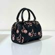 کیف مینی صندوقی کوچ مدل چری