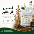 محلول اسید آمینه- ویژه کنترل گل جالیز و تقویت سیستم ریشه گیاهان 