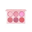 پالت رژ گونه 6 رنگ مدل  BLUSHING BOUQUET