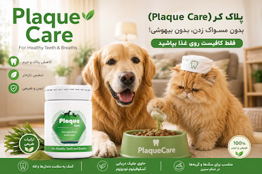 از بین برنده جرم دندان سگ و گربه پلاک کر (Plaque Care) | جلبک دریایی، بدون بیهوشی
