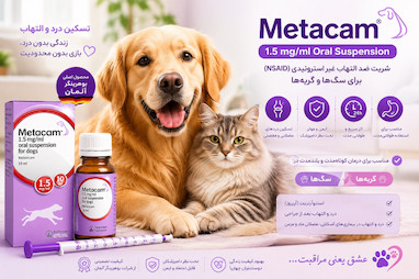 متاکام (Metacam)؛ بهترین دوست مفاصل سگ و گربه شما وقتی درد دارند!