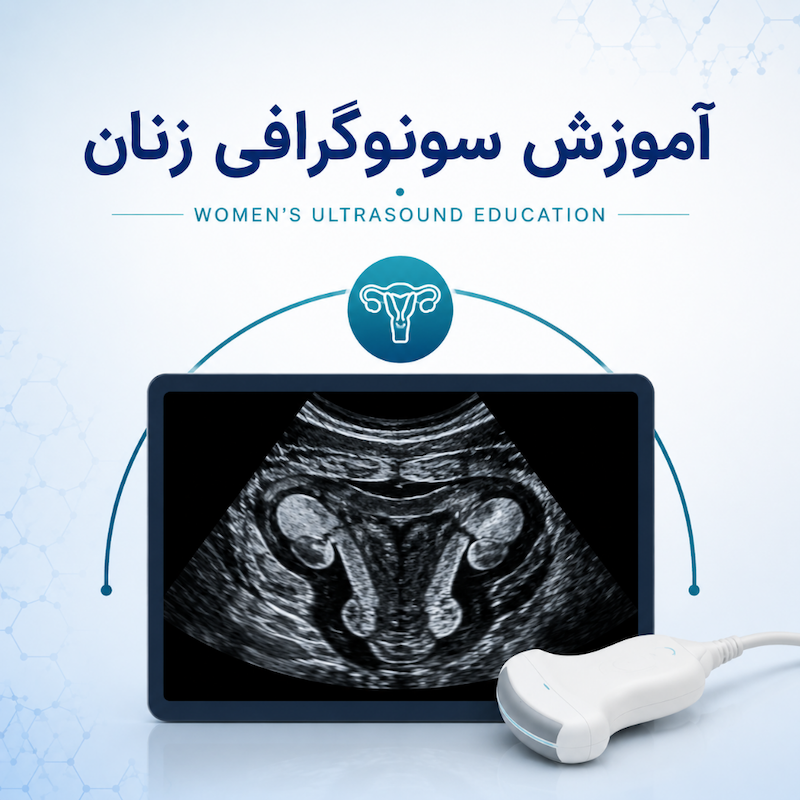 آموزش سونوگرافی زنان