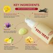 سرم سئول 1988 رتینال لیپوزومی 2% + جینسینگ سیاه  K-SECRET SEOUL 1988 Serum Retinal Liposome 2% + Black Ginseng