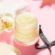 بالم و ماسک لب های لانیژ مینی اصل از انگلیس LANEIGE Midnight Minis 