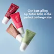 بالم لب های مینی سایز سامر فرایدیز اصل از آمریکا Summer Fridays The Lip Butter Balm Minis 