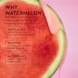 سرم درخشان کننده هندوانه و نیاسینامید دیو دراپس گلو رسپی ( رسیپی ) 40 میل Glow Recipe Watermelon Glow Niacinamide Dew Drops Serum