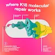 ماسک مو ترمیم کننده مولکولی موهای آسیب دیده کی ۱۸ اورجینال از انگلیس k18 leave-in Molecular Repair Hair Mask