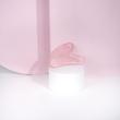 رولر و گواشا سنگ رز کوارتز براش ورکز اورجینال از انگلیس Brushworks Resin Rose Roller & Gua Sha
