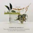 سرم ضدچروک و جوانساز سیلک تاچا اورجینال از آمریکا TATCHA The Silk Serum Wrinkle-Smoothing Retinol Alternative 