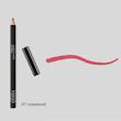 مداد خط لب اسمارت فیوژن کیکو میلانو Smart Fusion Natural lip liner kiko milano