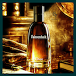 عطر دیور فارنهایت Dior Fahrenheit