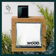 عطر دیسکوارد هی وود مردانه DSQUARED He Wood For men