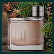 عطر دانهیل قهوه ای Dunhill Brown