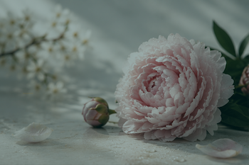 عطرهای بهاری
