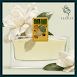 عطر استی لودر توبرز گاردنیا
