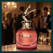 عطر ژان پل گوتیه اسکندال بای نایت