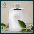 عطر لالیک وایت