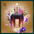 عطر  Xerjoff alexanderia II