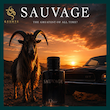 عطر دیور ساواج Dior Savauge