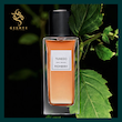 عطر سن لورن تاکسیدو