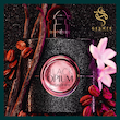 عطر YSL Black Opium