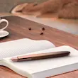 خودنویس شیفر ۱۰۰ کافی ادیشن