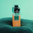 شیشه جوهر خودنویس هربین J.Herbin Vert Amazone سبز لجنی