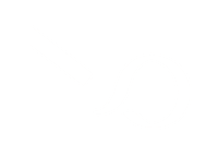 مهرنوش صانعی 