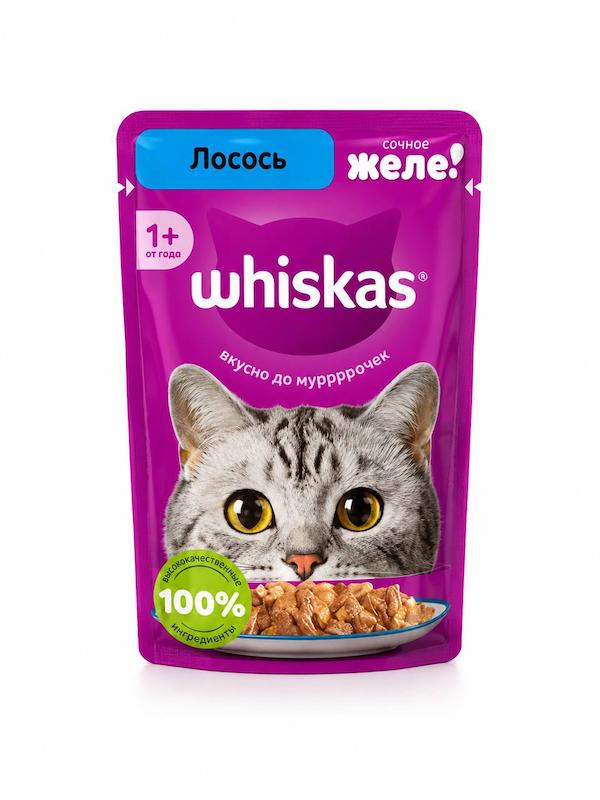 پوچ گربه ویسکاس (Whiskas) با طعم سالمون در ژله