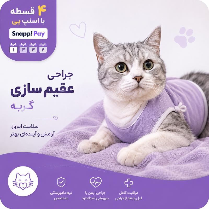 جراحی عقیم سازی گربه
