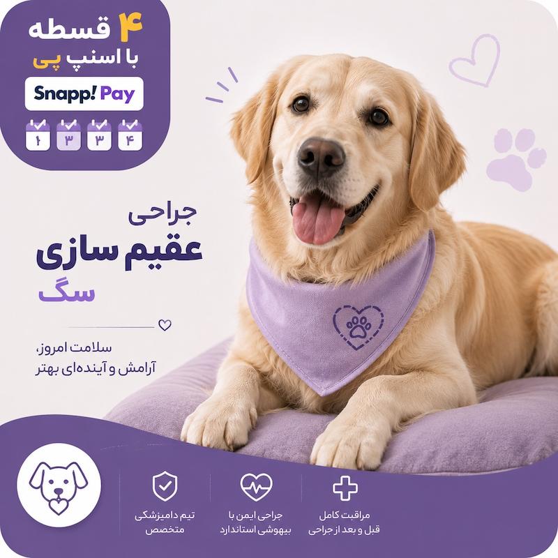 جراحی عقیم سازی سگ