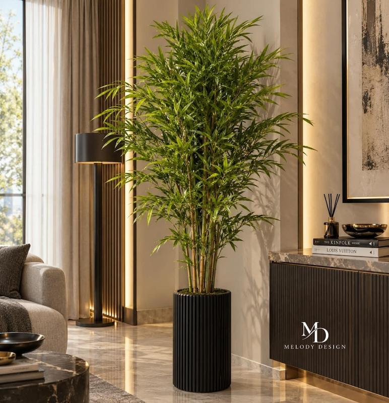 درختچه بامبو طبیعی 