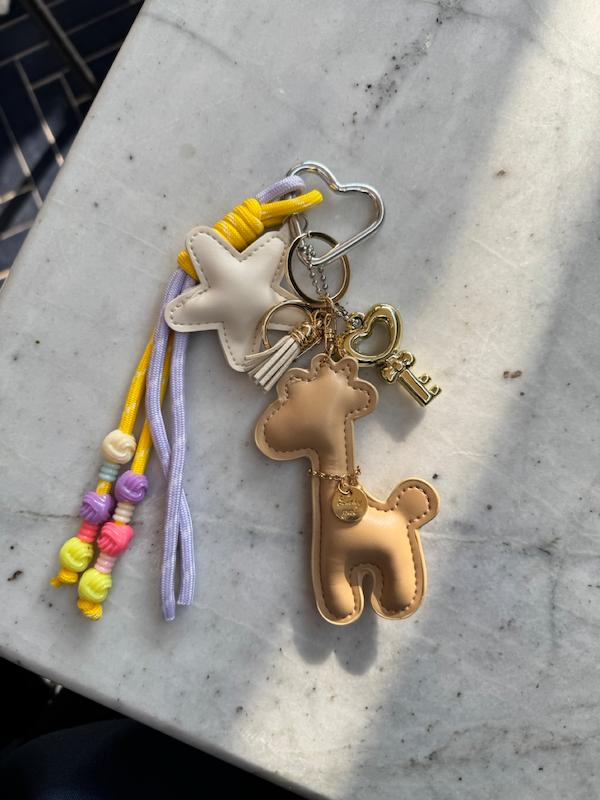 چارم  زرافه و کلید 