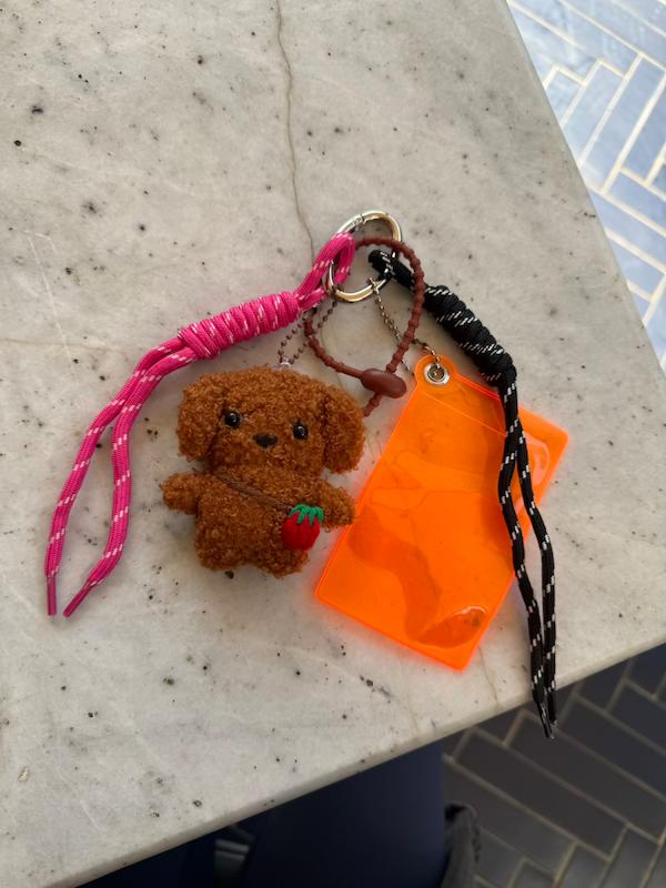 چارم تدی و توت فرنگی و جاکارتی 