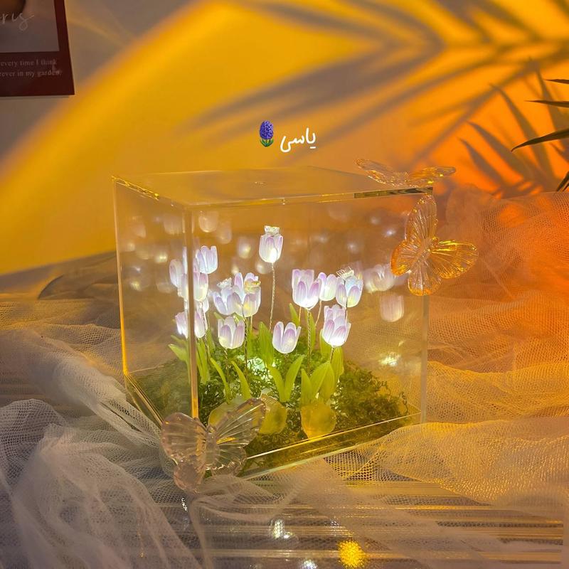 باکس لاله بی نهایت پروانه‌ای
