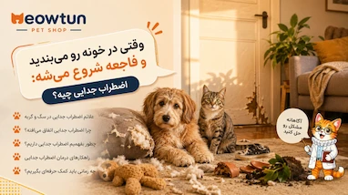 وقتی در خونه رو میبندید و فاجعه شروع میشه: اضطراب جدایی چیه؟