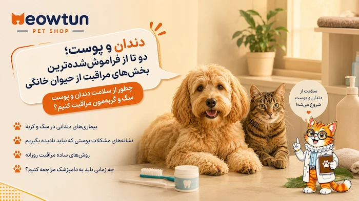 راهنمای مراقبت از دندان و پوست سگ و گربه | علائم، پیشگیری و نکات مهم